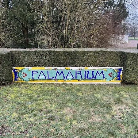 Amazing In The Heart Of ヴィッテル