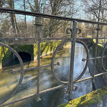 Amazing In The Heart Of Vittel