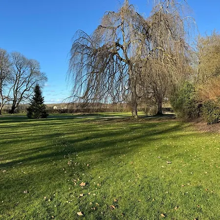 Amazing In The Heart Of 別荘