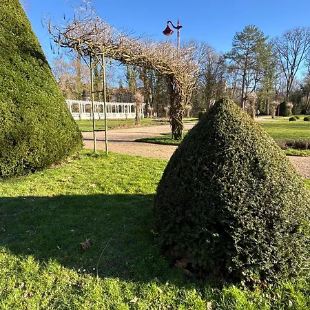 Amazing In The Heart Of Vittel