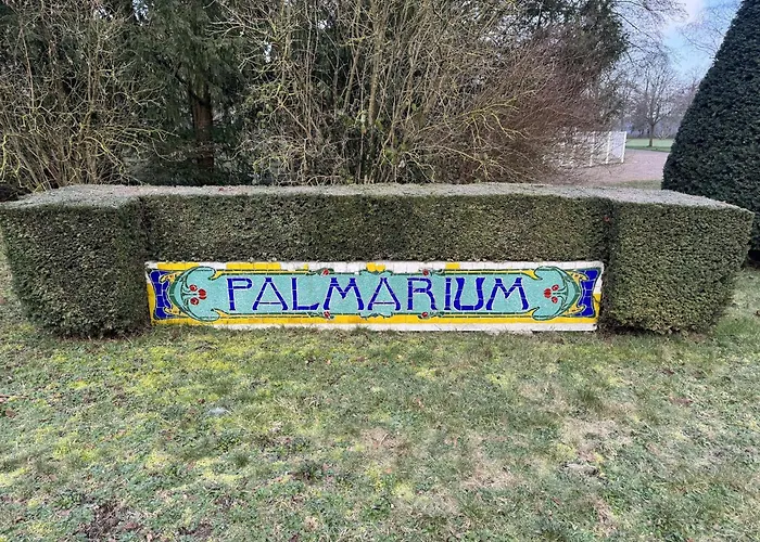 Amazing In The Heart Of ヴィッテル