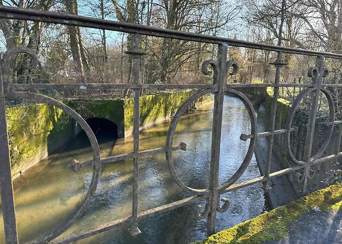 Amazing In The Heart Of ヴィッテル