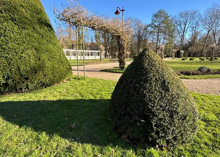 Amazing In The Heart Of ヴィッテル